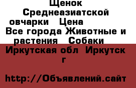 Щенок Среднеазиатской овчарки › Цена ­ 35 000 - Все города Животные и растения » Собаки   . Иркутская обл.,Иркутск г.